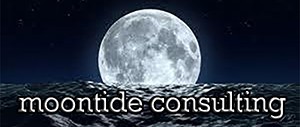 moontideconsulting.com