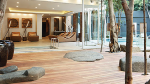 he Saxon Spa at Saxon Hotel, Villas & Spa (South Africa).  The Saxon Journey is a unified, seamless experience, with unrivaled service and offerings, which are meant to be enjoyed without limitation.